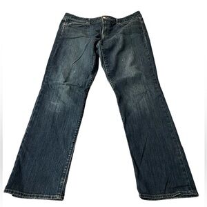 GAP Indigo Denim Jeans